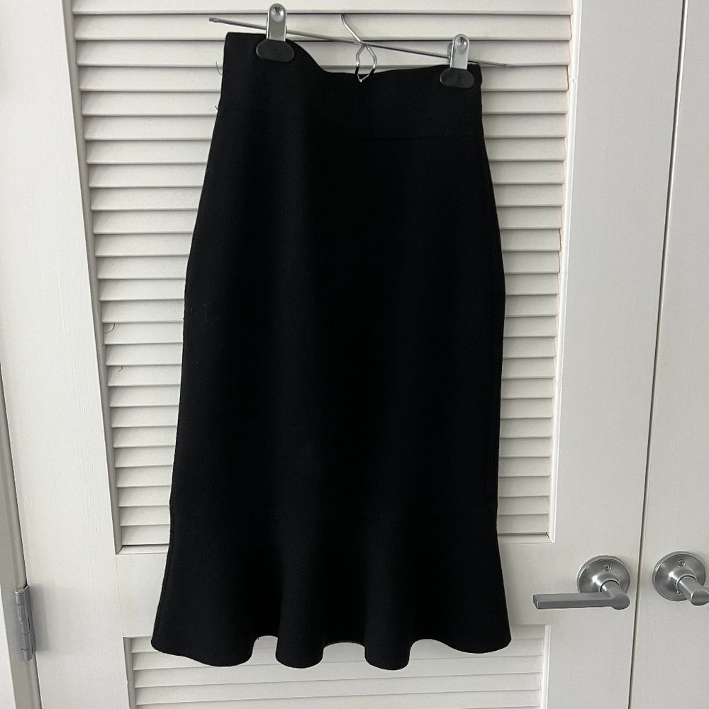 Godet gorgeous two color skirt Club Monaco ( good condition) XS, S